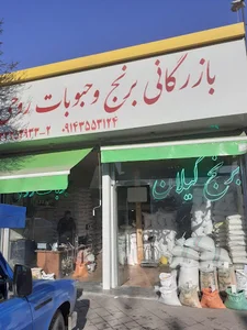 فروشگاه روحی
