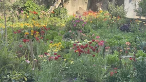 مهد کودک و آمادگی آبرنگ