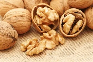 فروشگاه غلام باقری