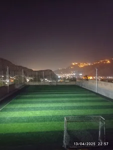 چمن ورزشی