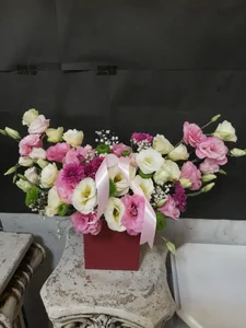 گل آی سو 4