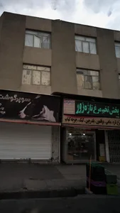 مرغ و ماهی طلایی 2