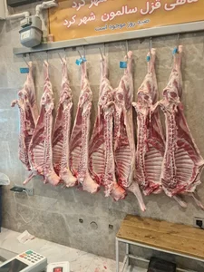 سوپر پروتئینی نمونه تهران 4