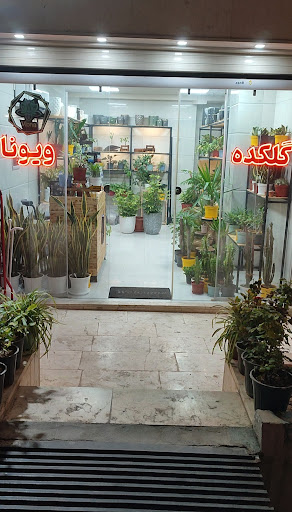گلکده ویونا