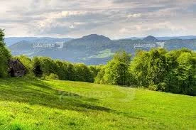 کالای خواب مقدم