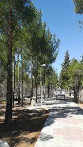 بوستان آزادی