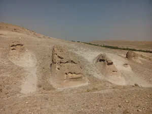 زینجناب
