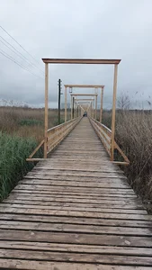 پل چوبی بندر کیاشهر