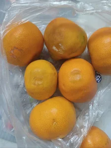 سوپر میوه مهدی