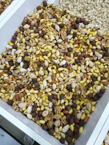 آجیل و خشکبار ایلیا