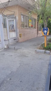 پیرایش علی