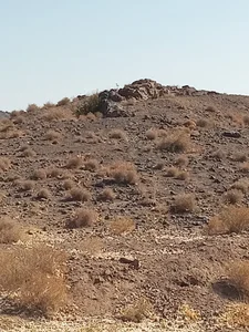 دره شغال ها