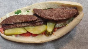 ساندویچی رضا اسبکیان 2