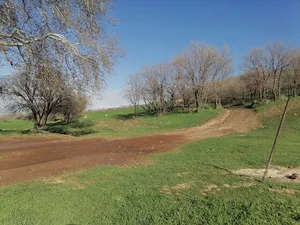 باغ برادر