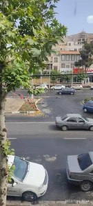 کلینیک دامپزشکی آوین