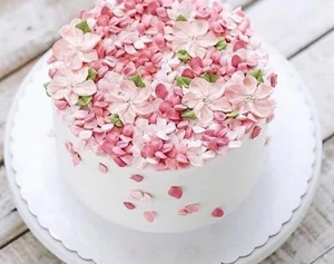 آموزشگاه فنی حرفه ای مهشاد