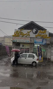 کلینیک دامپزشکی دکتر سروناز گیاهی رشت 5