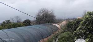 گلخانه واعظی