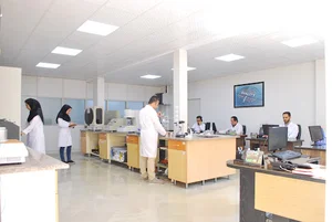 شرکت دانش بنیان آریانام