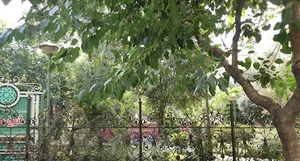 بوستان شیخ هادی