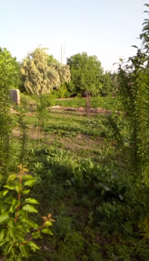 سبزی فروشی رنجبر