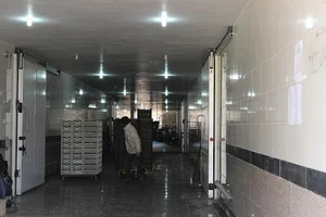 سردخانه موسوی شاهرود