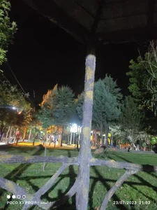 بوستان سید حسن نصراله