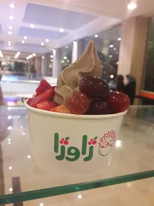 Javoja Frozen Yogurt
