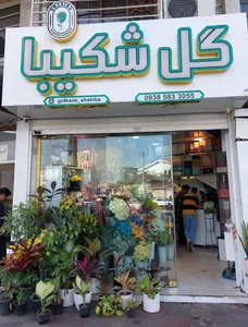 گل شکیبا 2