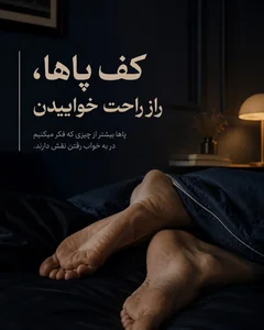 مجموعه‌ نیلوفراسپا 2