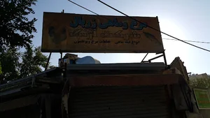 مرغ و ماهی زربال