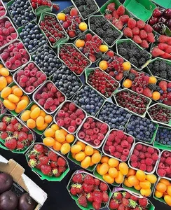 میوه فروشی و سبزی فروشی