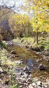 کوچ اصفهان