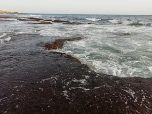 تیس