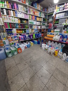 شوینده بهداشتی سعیدی
