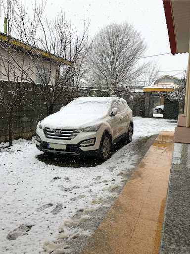 ویلای آرین