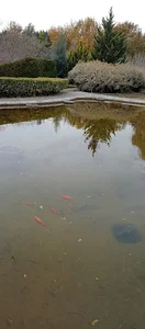 باغ شرافت