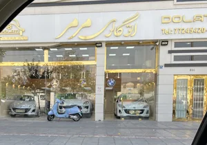 اتو نیکرو