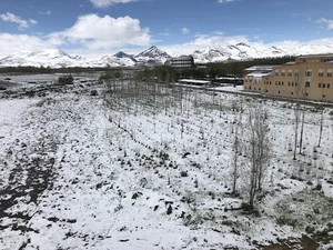 Shohadaye Gomnam Dormitory