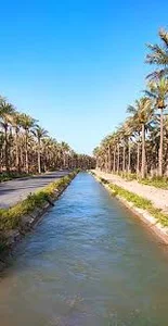آب‌پخش - ویکی‌پدیا، دانشنامهٔ آزاد