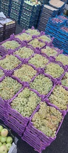 بارفروشی و حق العمل کاری جمال اصغرزاده