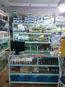 آکواریوم رنگین کمان
