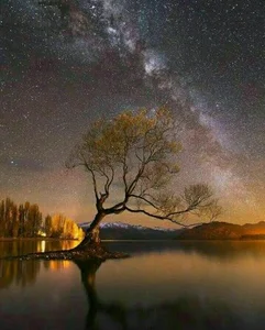 کلینیک کار درمانی و توانبخشی دکتر رفائی