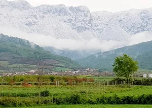 مدرسه راهنمایی شبانه روزی شهید علوی