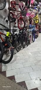 فروشگاه دوچرخه شاهان 2