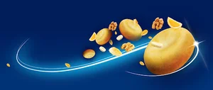 شرکت تعاونی تولیدی بازرگانی شیرین کام شادان کویر (کیک و کلوچه ناخونک)