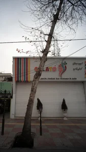 آبمیوه بستنی ژلاتو 3