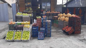 میوه فروشی امیر
