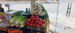 میوه و تره‌ بار باغ بهشت 3