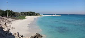 اسکله اختصاصی پاویون